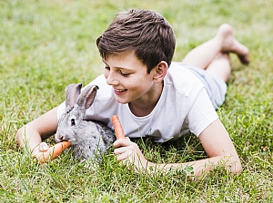 RABBIT RABBIT
