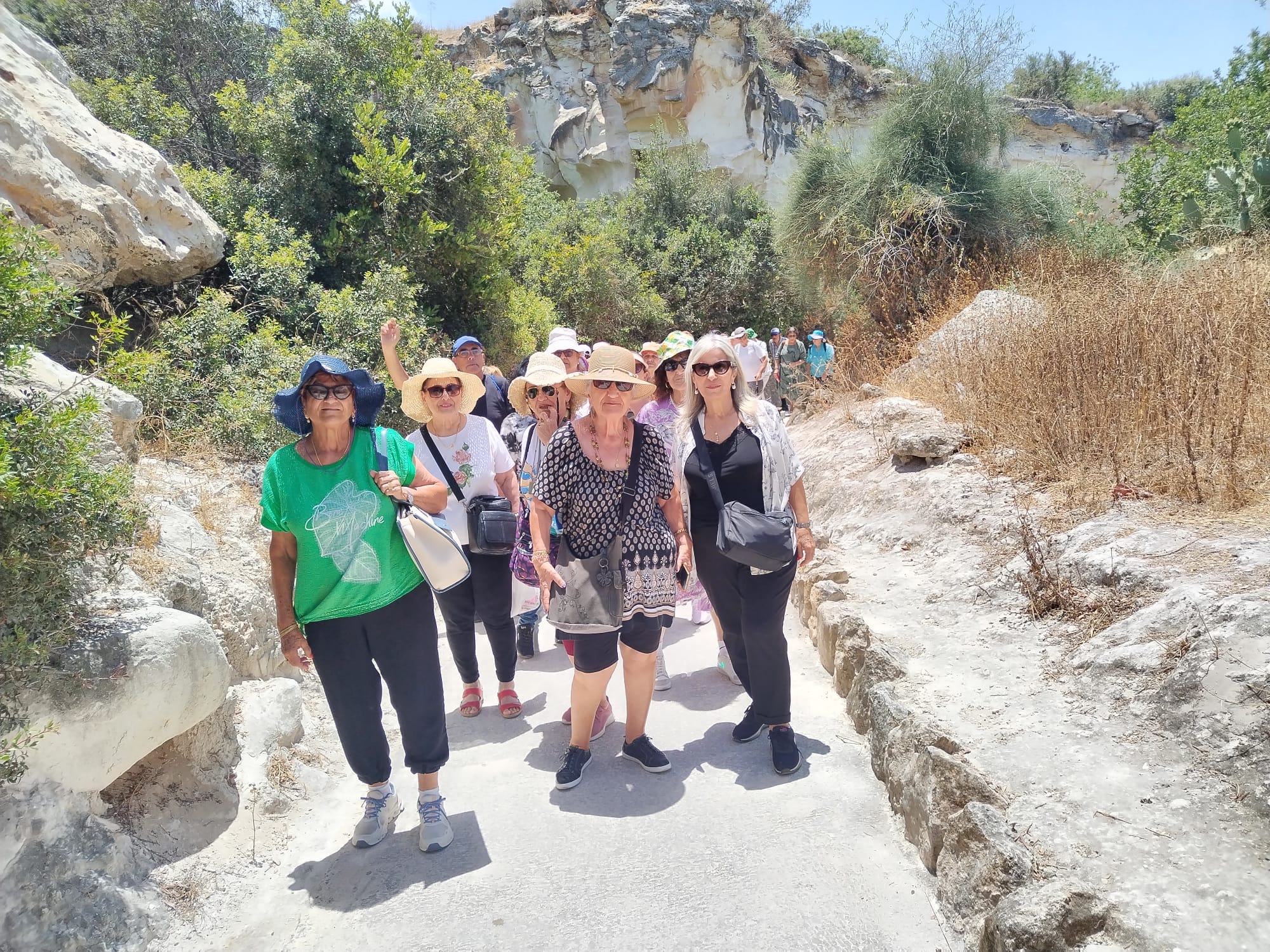 מטיילים בארץ ובחו